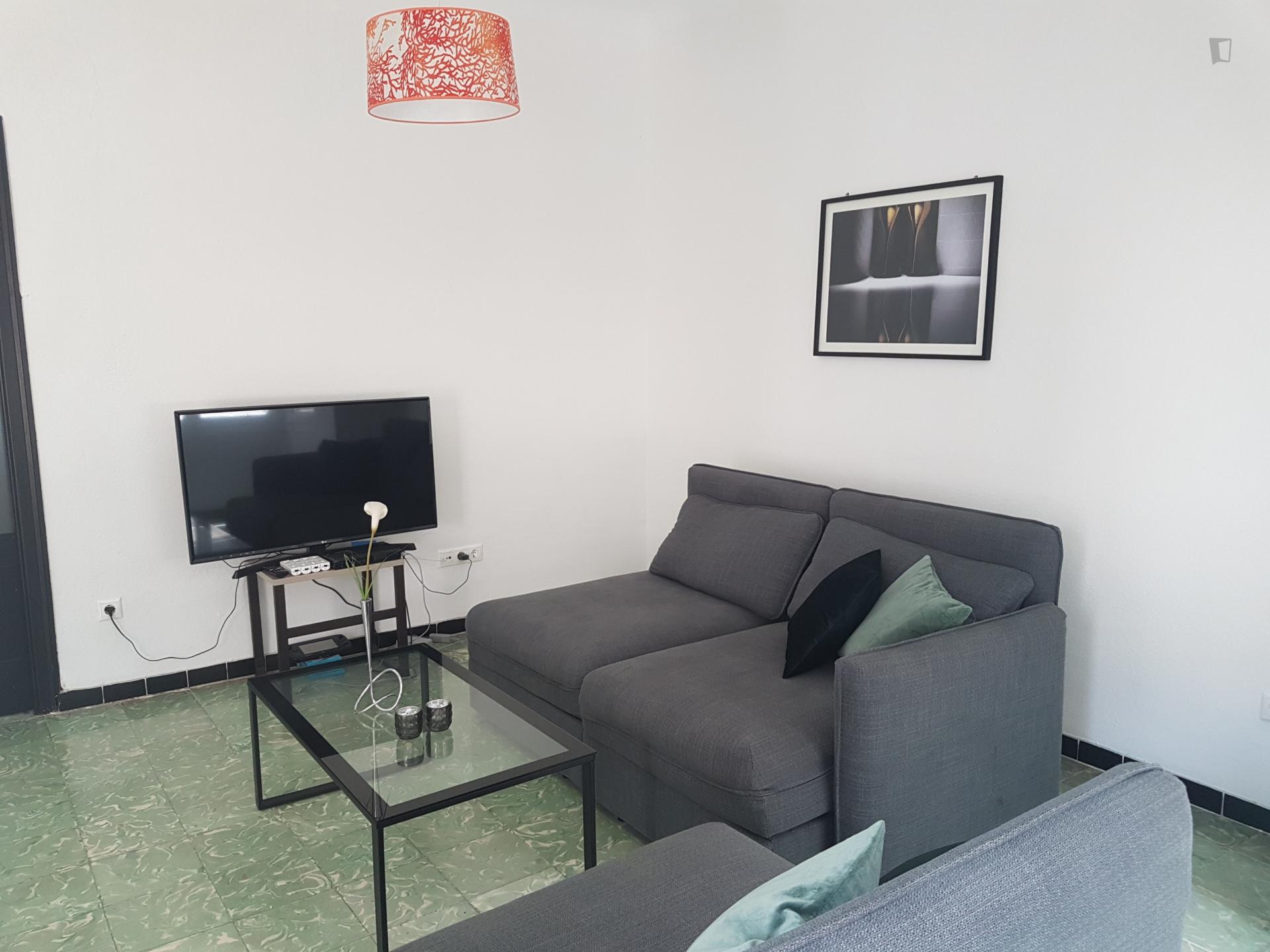 Miro - Charming 2-bedroom flat in Alicante - TV