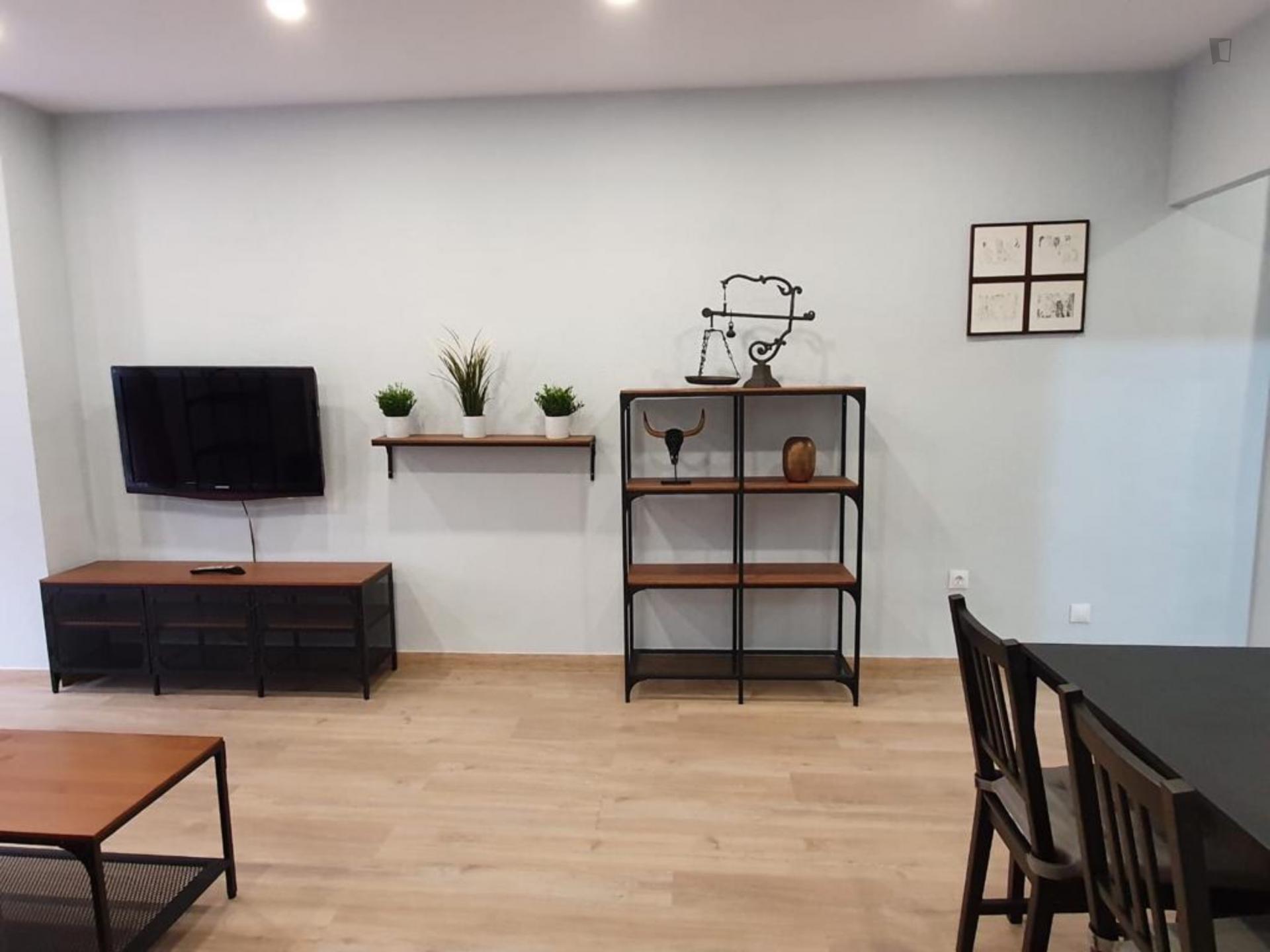 Barcelona - Spacious 3 bedroom apartment in Malaga - Living room