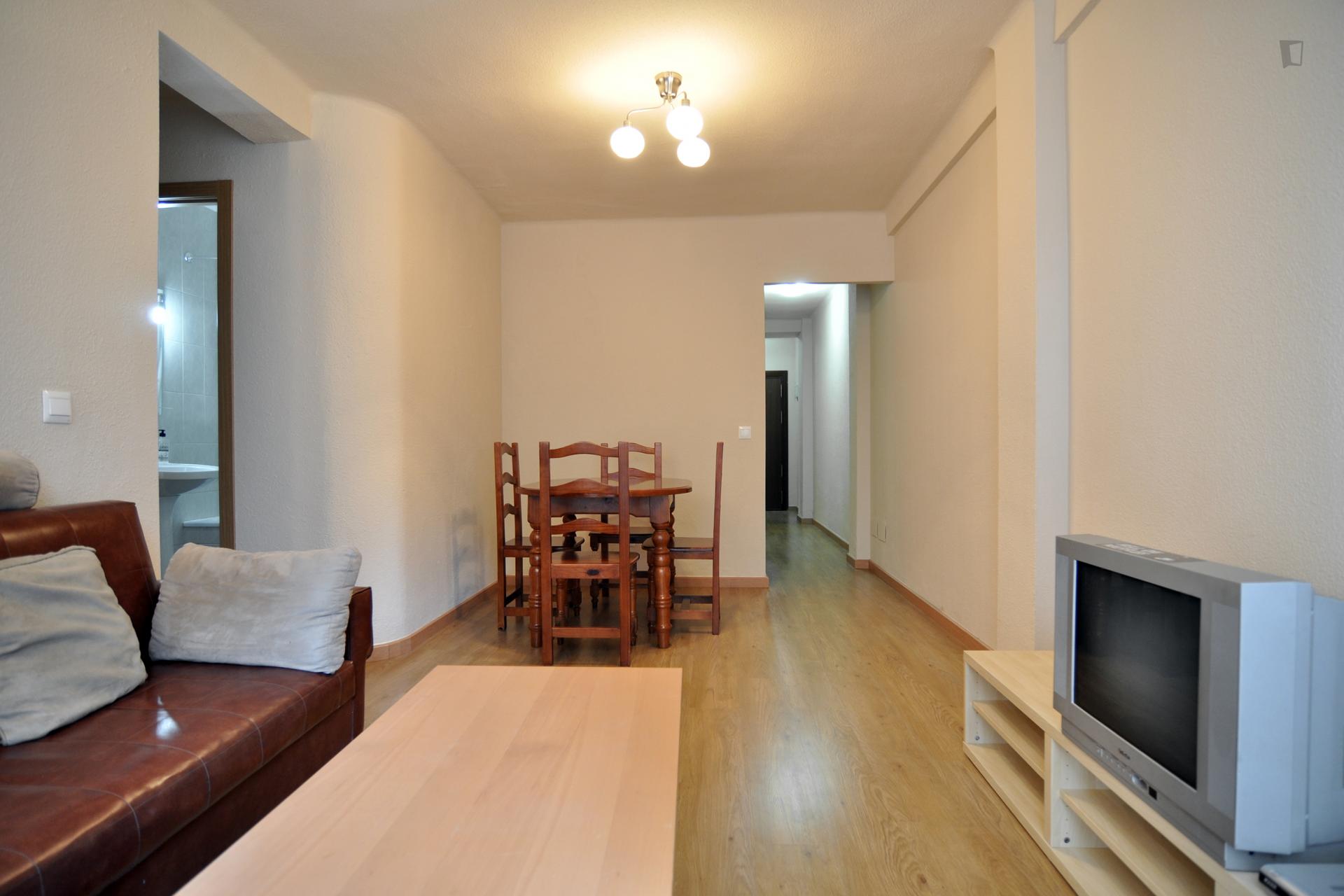 Gross- Comfortable 3 Bedroom flat in Malaga - Livingroom