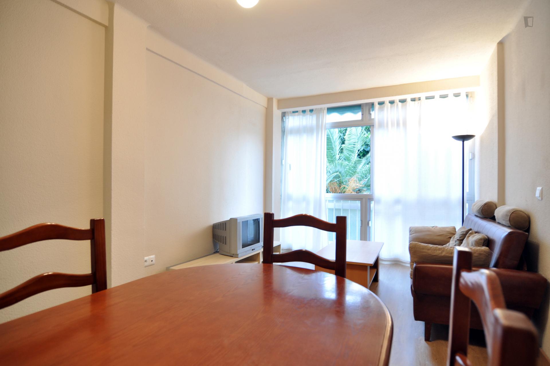 Gross- Comfortable 3 Bedroom flat in Malaga - Livingroom