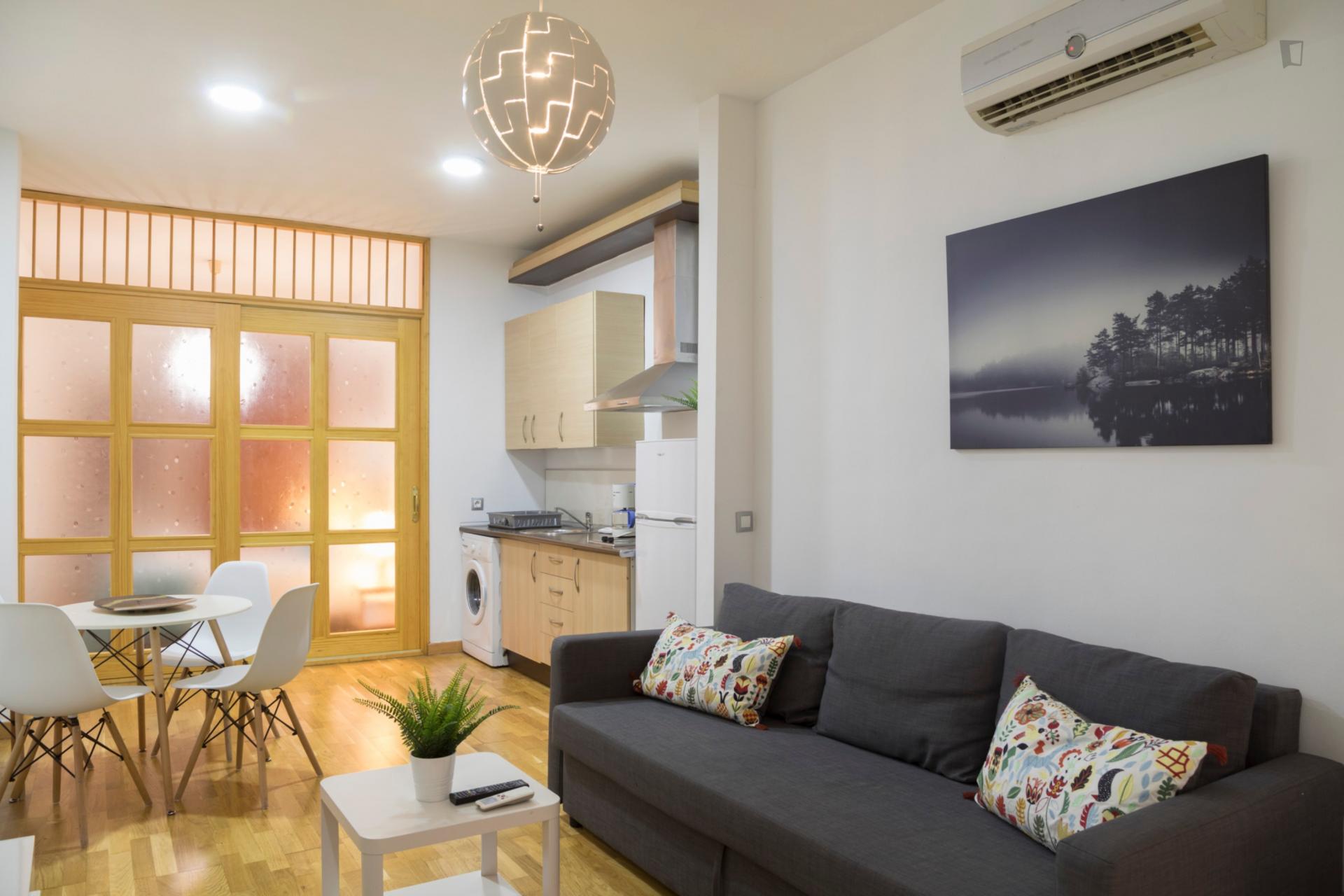 Jinetes- Classy 1 bedroom apartment in Malaga - Living room