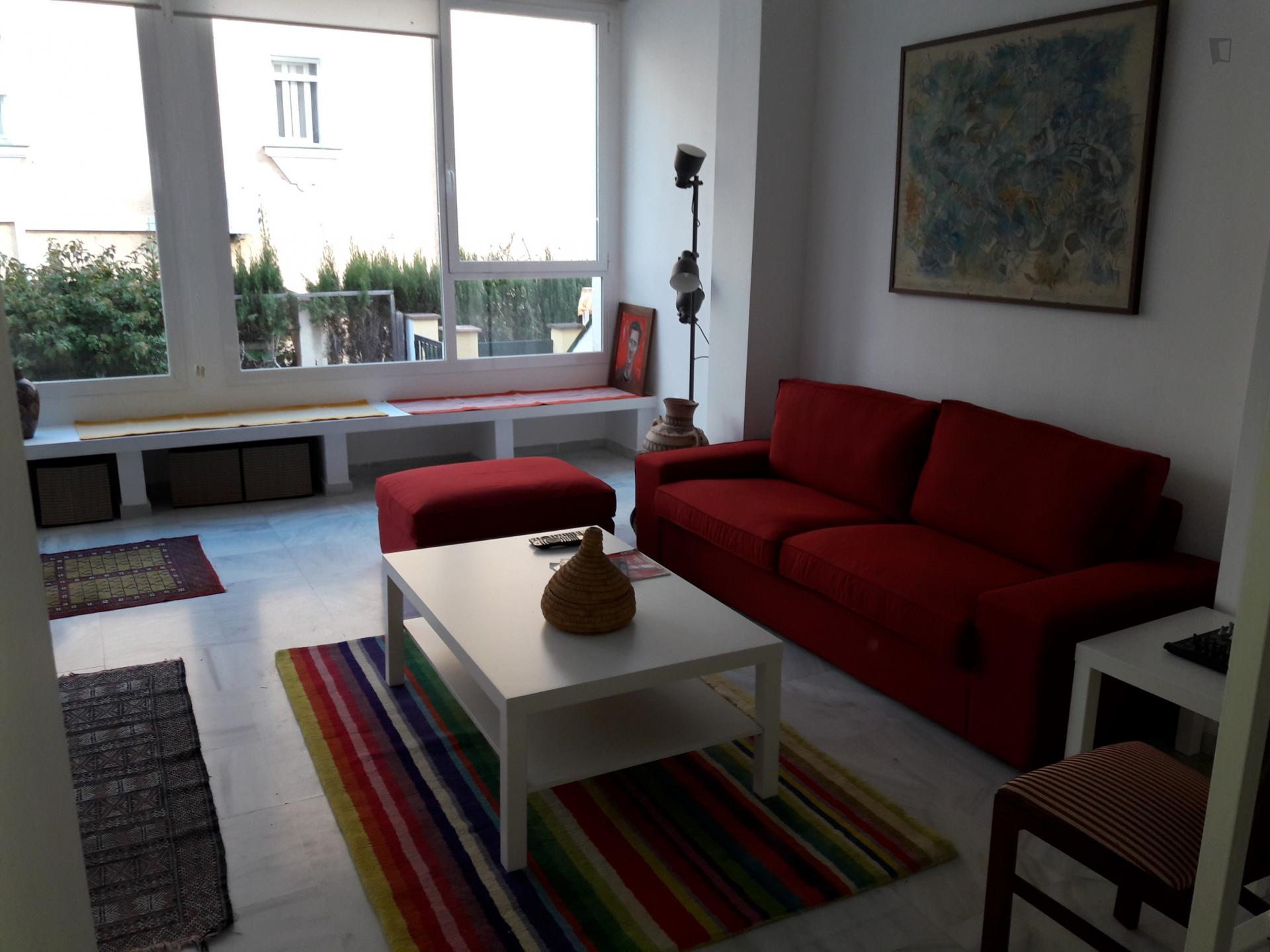 Etiopía- Cozy and Warm 1 bedroom Apartment Malaga - Living room