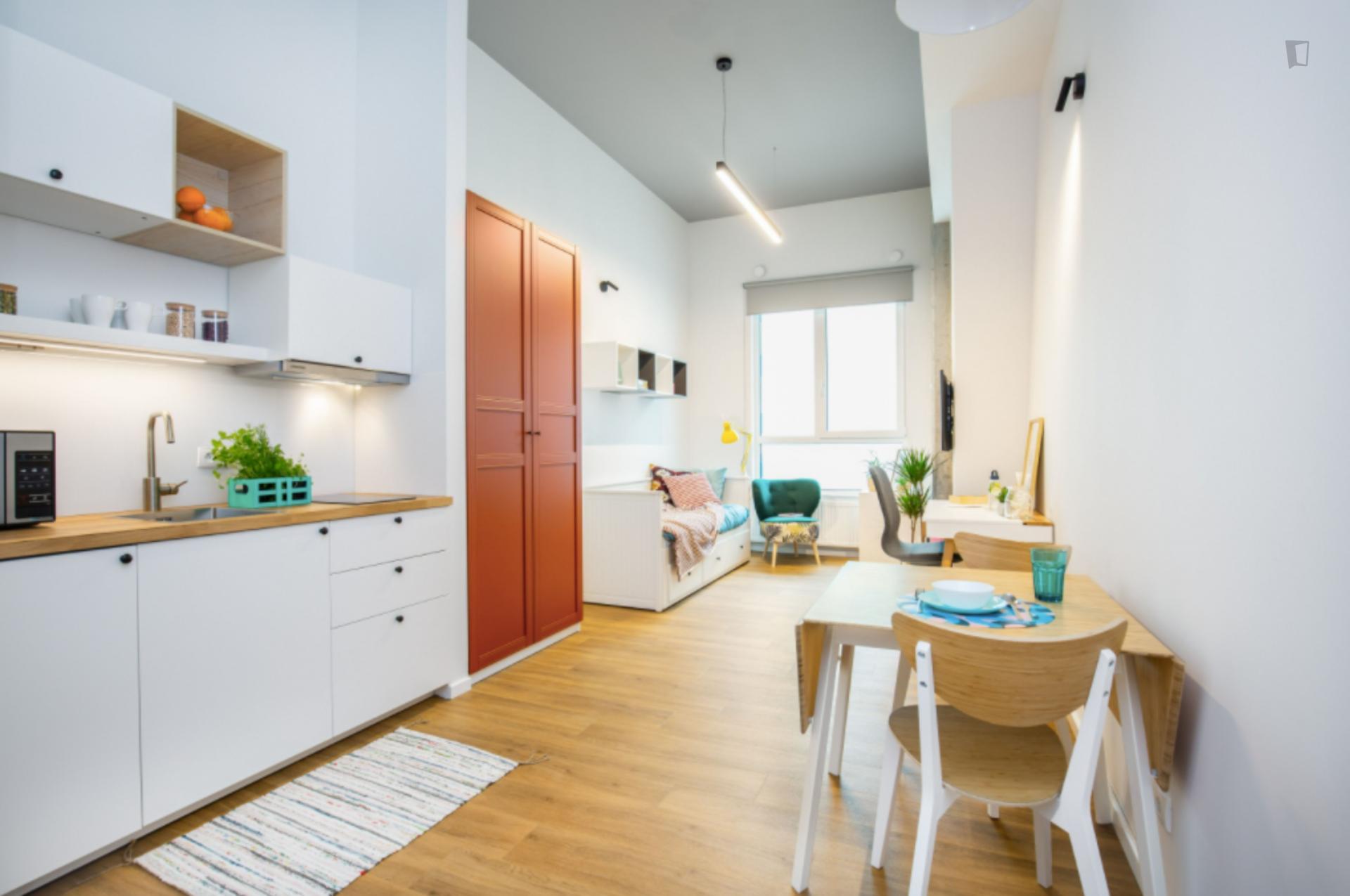 Roman - Modern studio in Krakow - Living