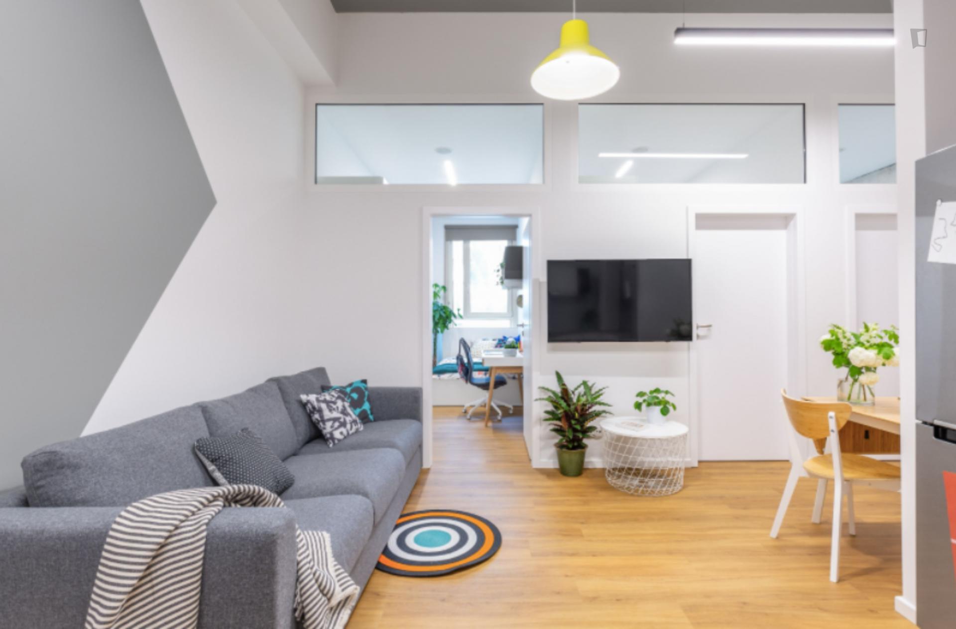 Roman 2 - Spacious bedroom in Krakow - Living room