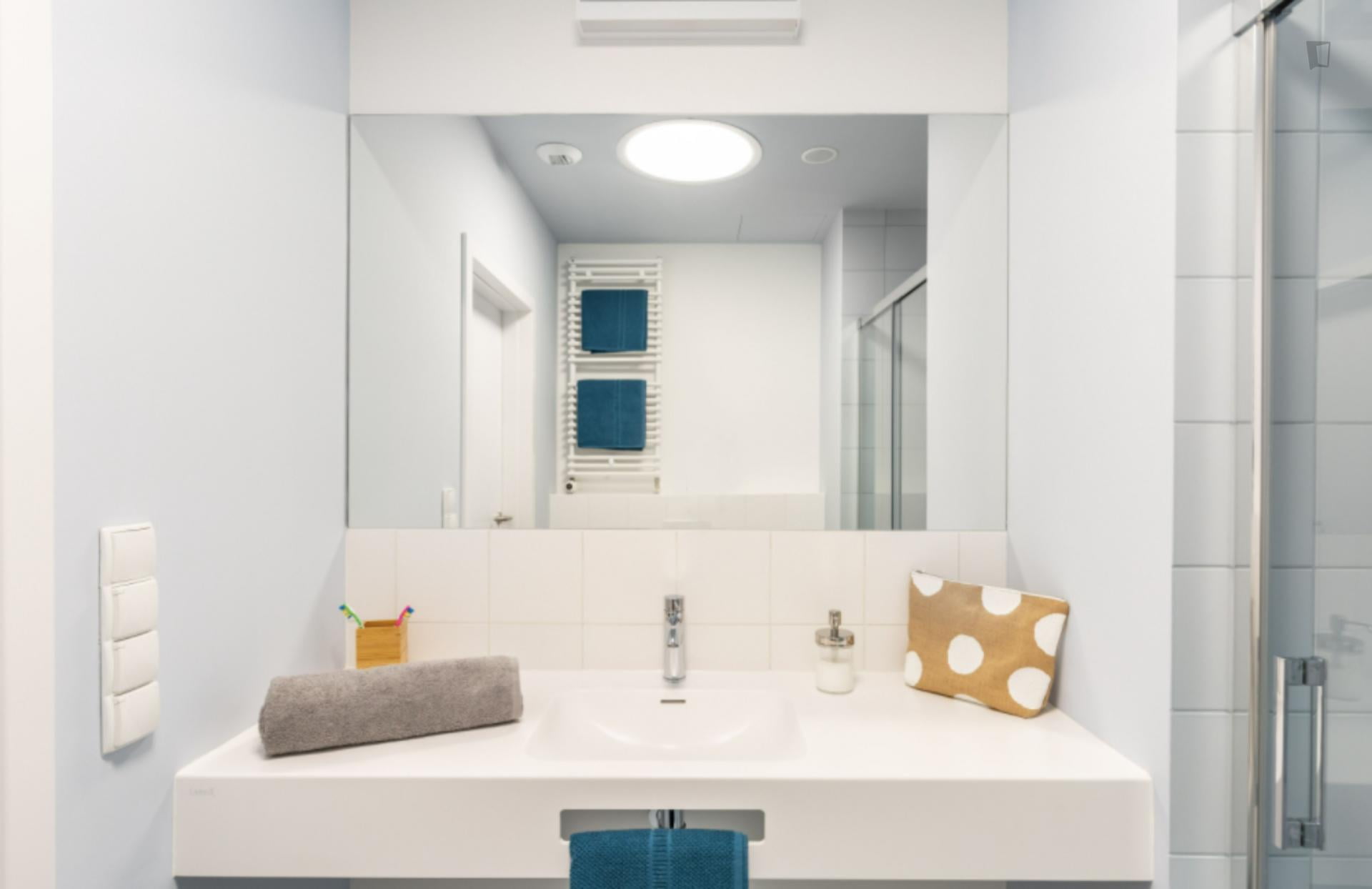 Roman 2 - Spacious bedroom in Krakow - Bathroom