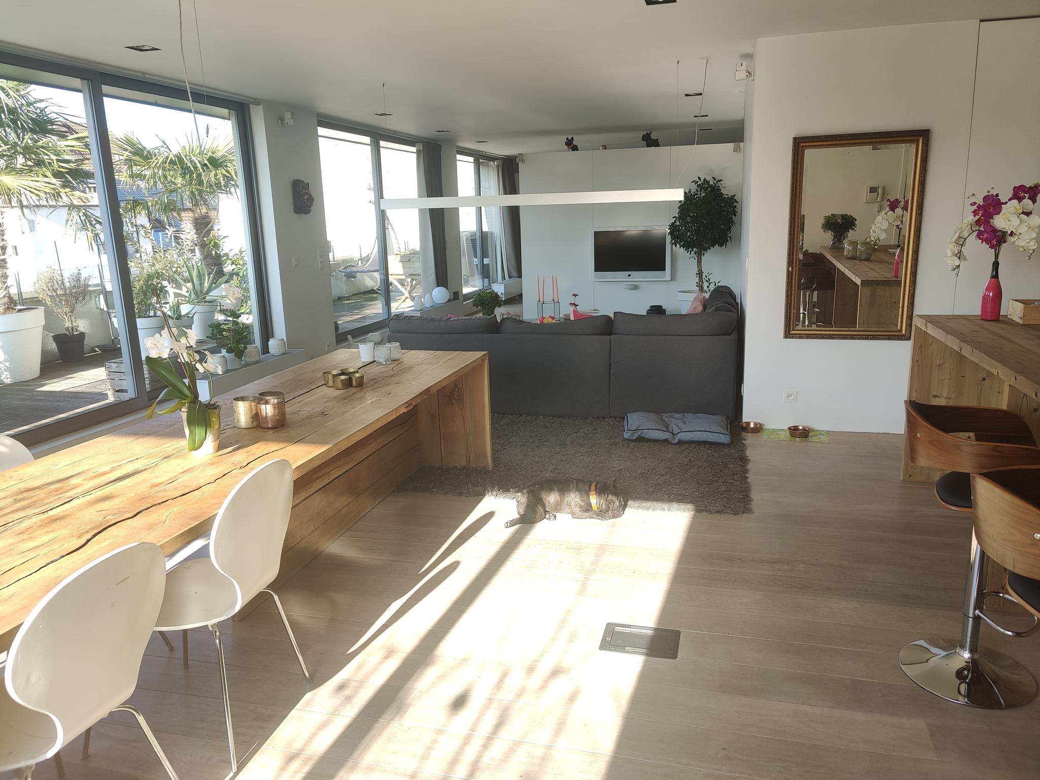 Washuis - Luxury apartment with terrace in Brussels - Living room