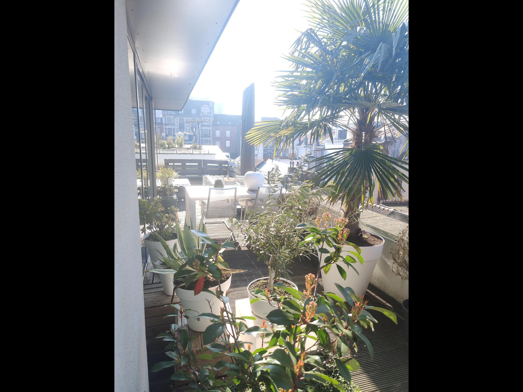 Washuis - Luxury apartment with terrace in Brussels - Terrace