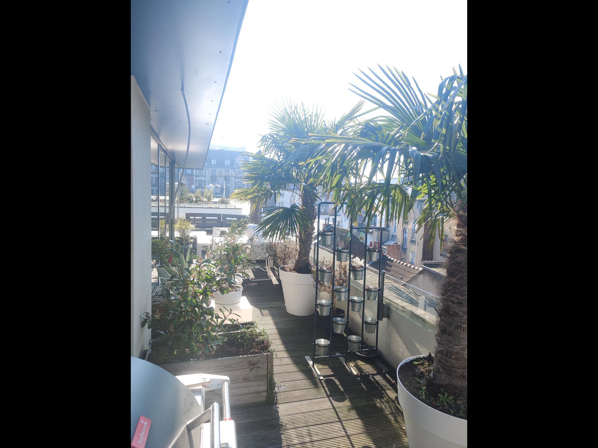 Washuis - Luxury apartment with terrace in Brussels - Terrace