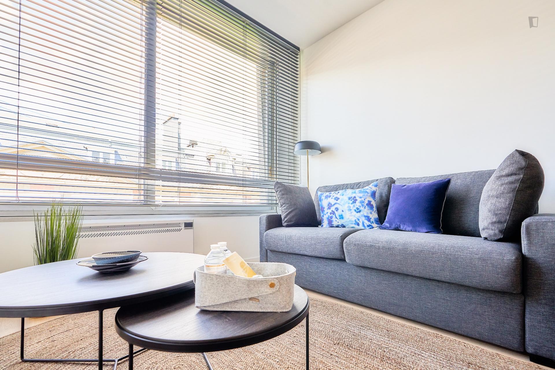 Blanche- Studio apartment for expats in Belgium - Living room