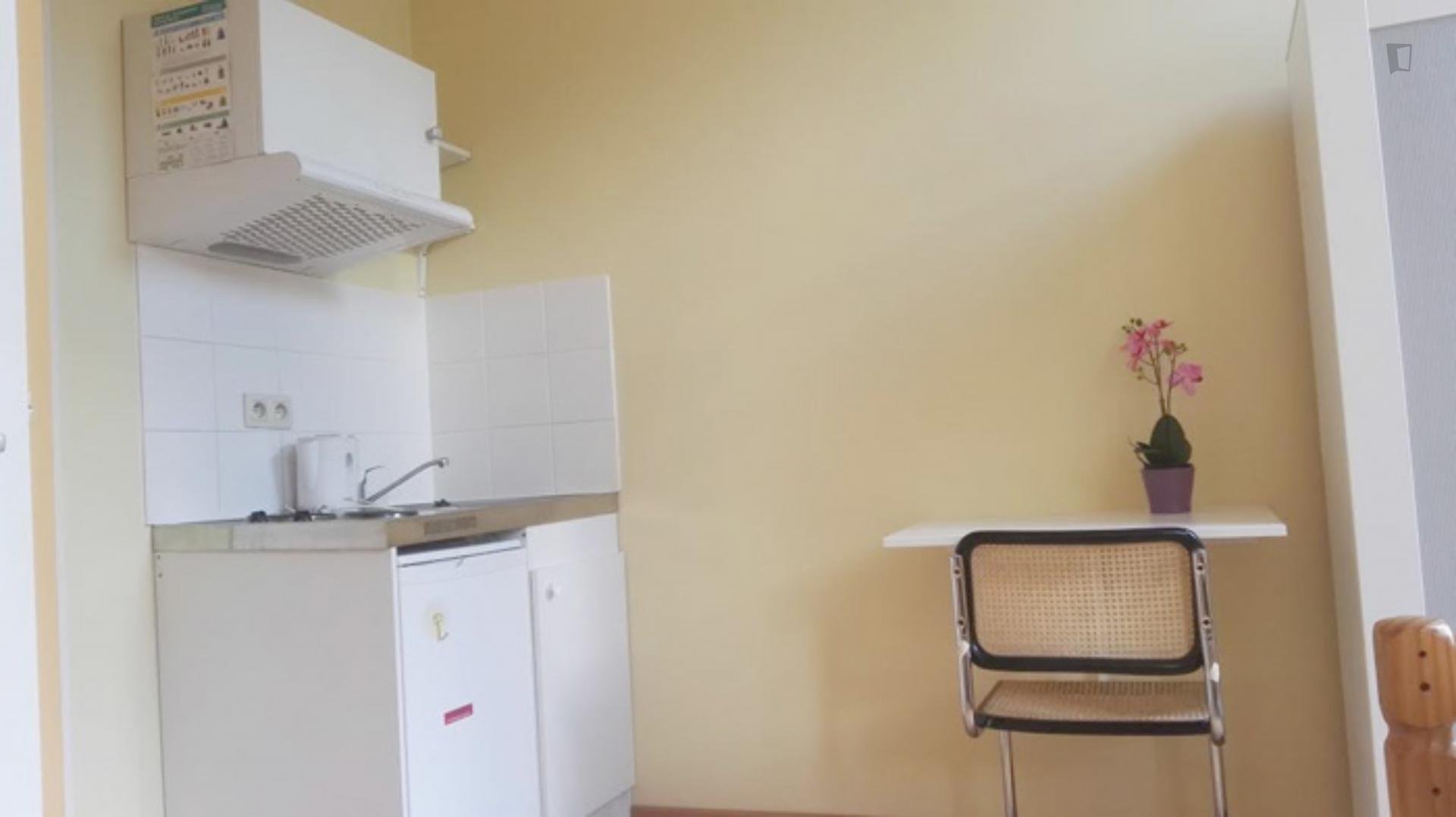 Wilson - Cozy studio Apartment in Belgium - Kitchen