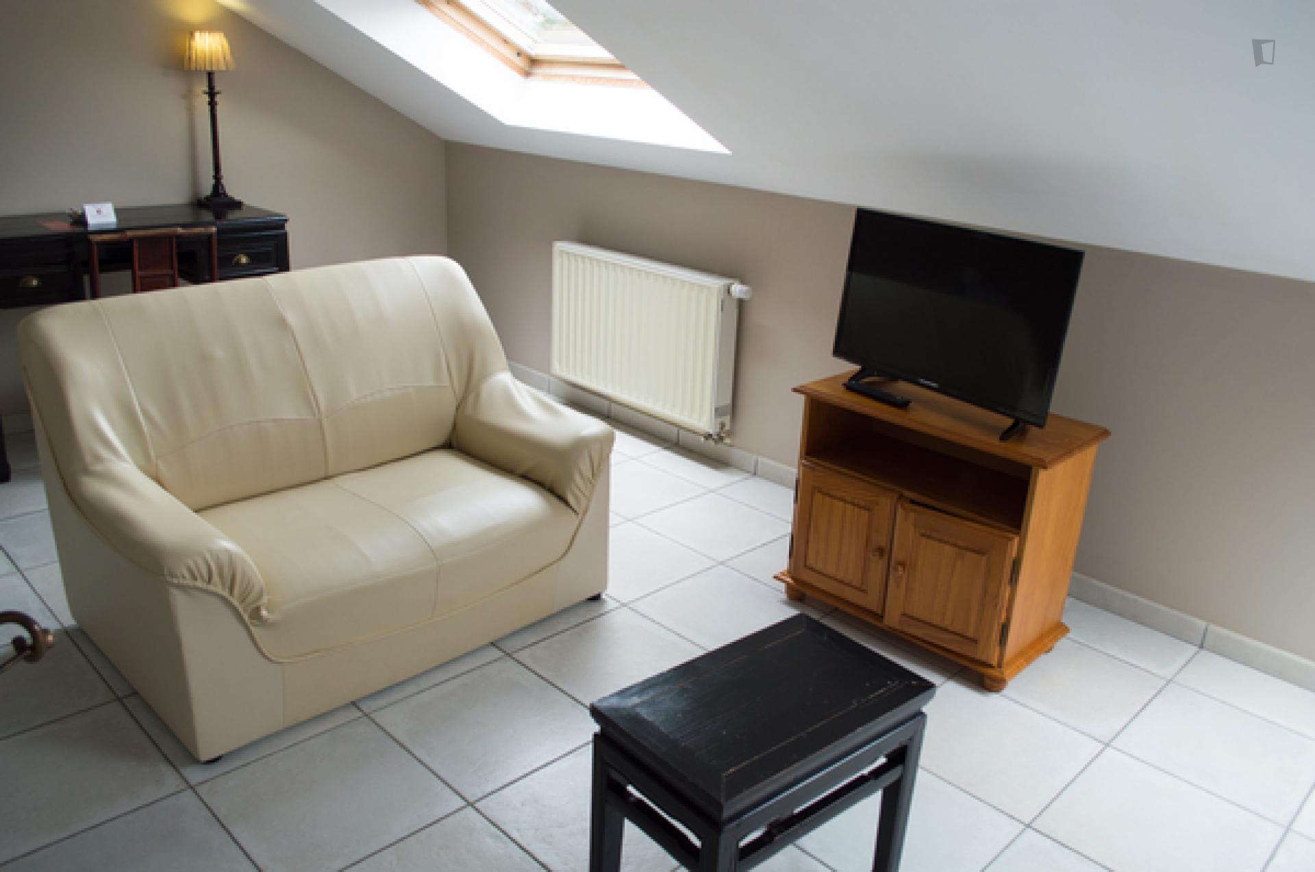 Waterloosesteenweg 3- Bright flat for expats in Belgium - Living room