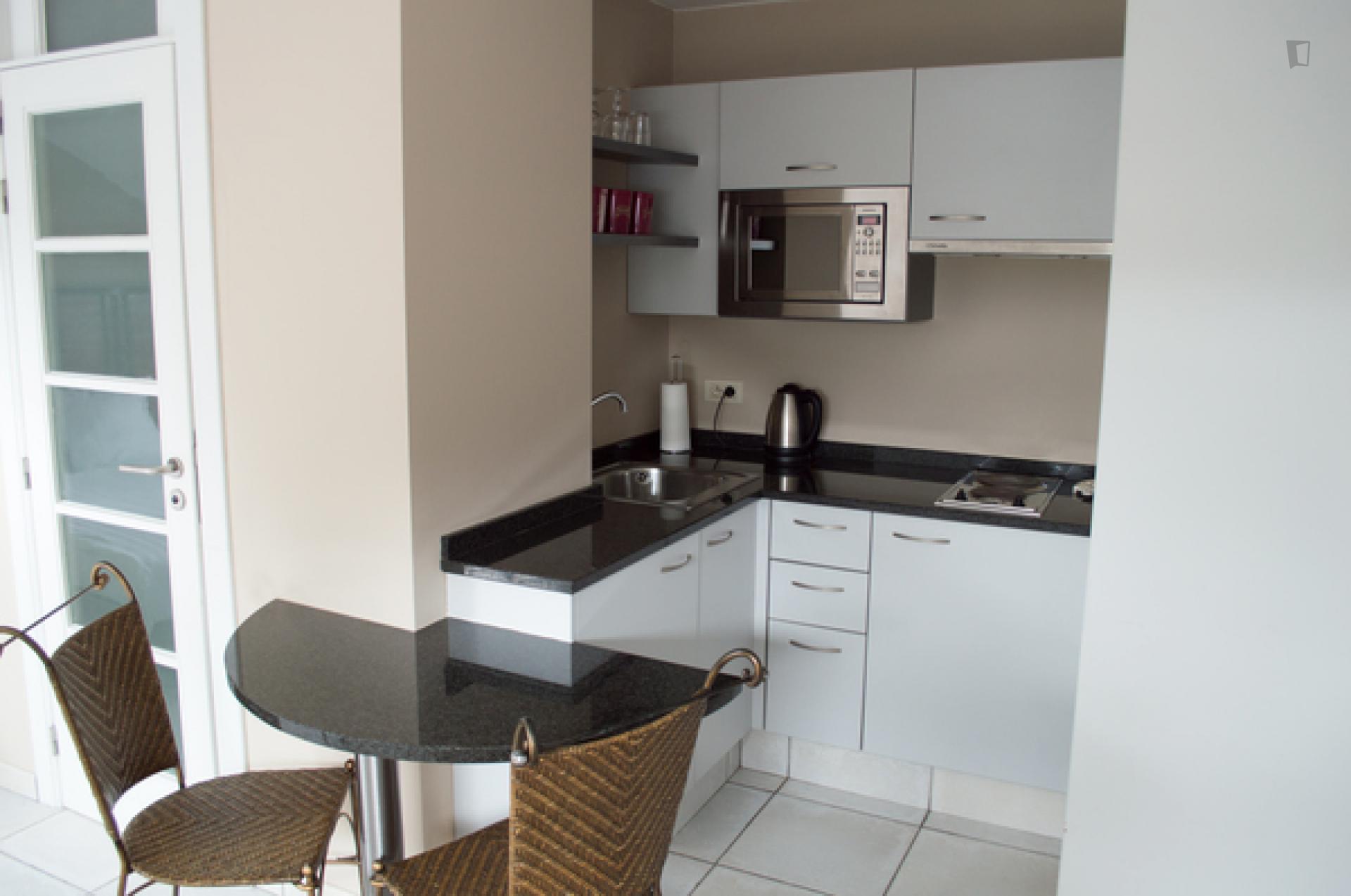 Waterloosesteenweg 3- Bright flat for expats in Belgium - Kitchen