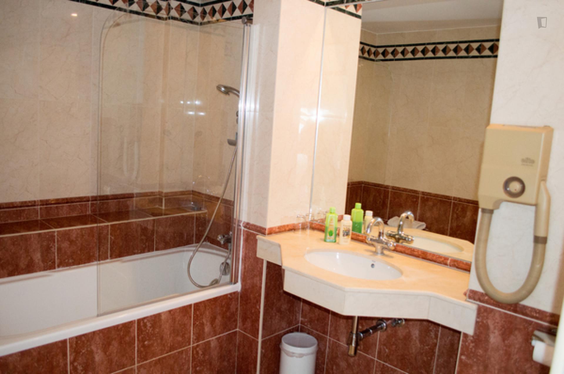 Waterloosesteenweg 3- Bright flat for expats in Belgium - Bathroom