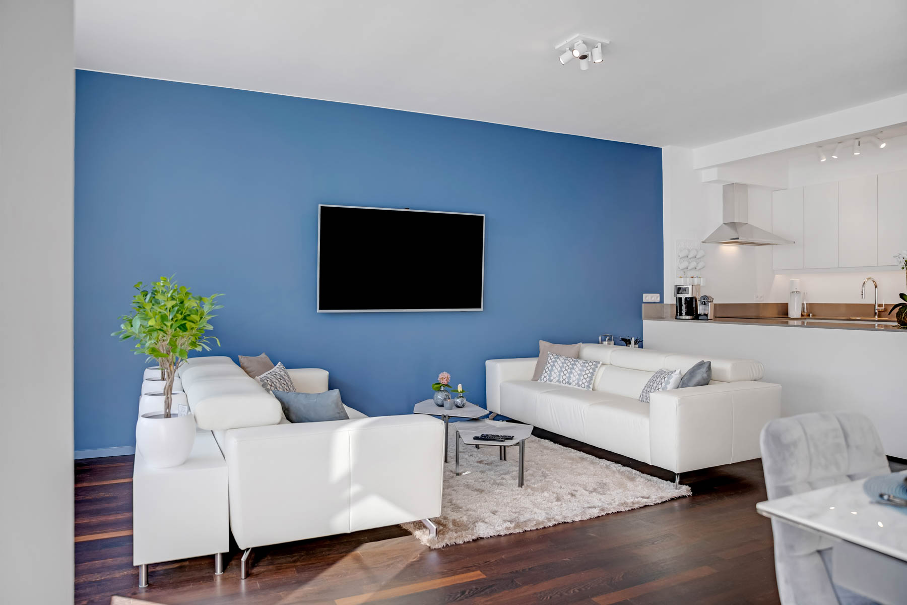 Antwerp luxury apartment for professionals - Lounge area