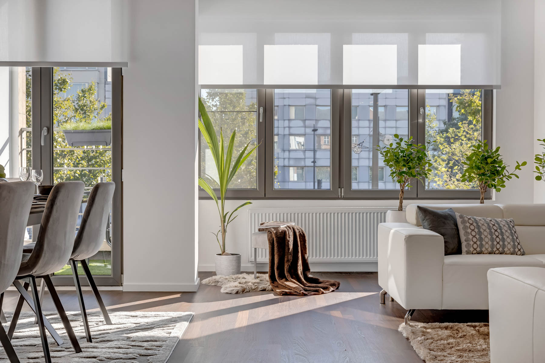 Antwerp luxury apartment for professionals - Natural light