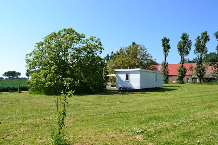 Schelpkreek 2 - Chalet for expats near Terneuzen - Garden