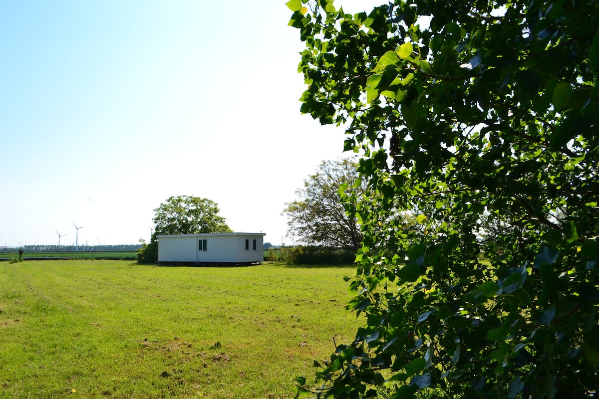 Schelpkreek 2 - Chalet for expats near Terneuzen - Garden
