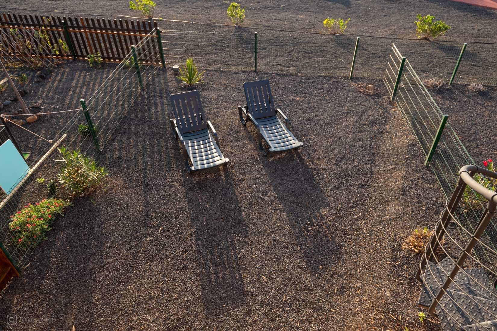 Oasis 2 - Lovely apartment on Fuerteventura - Garden