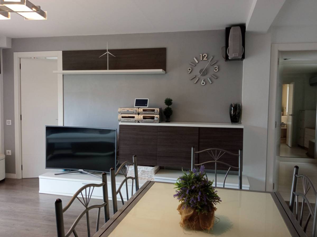 Pestalozzi - Equipped apartment for rent in Valencia - Living room