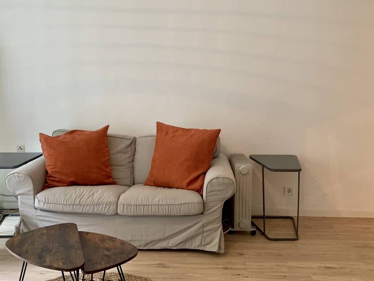 Alqueria - Beautiful apartment for rent in Valencia - Living room