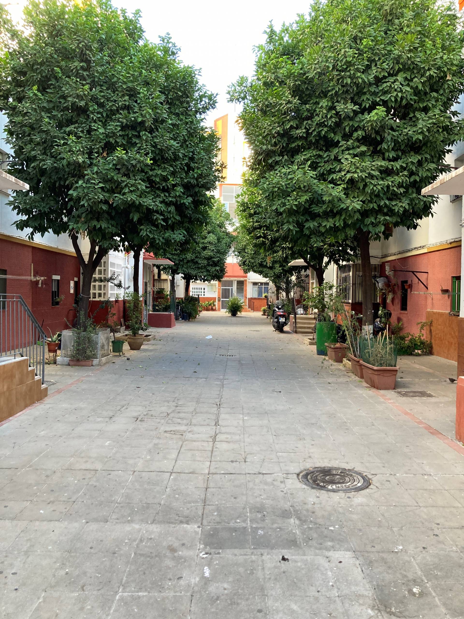 Bidasoa - Furnished apartment for rent in Sevilla 11 - Street