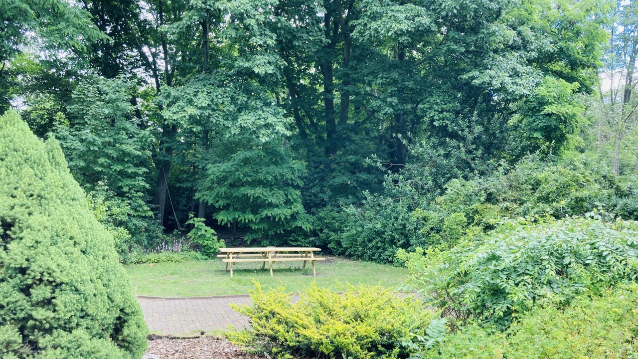 Middenheide - Furnished house for rent in Antwerp4 - Garden