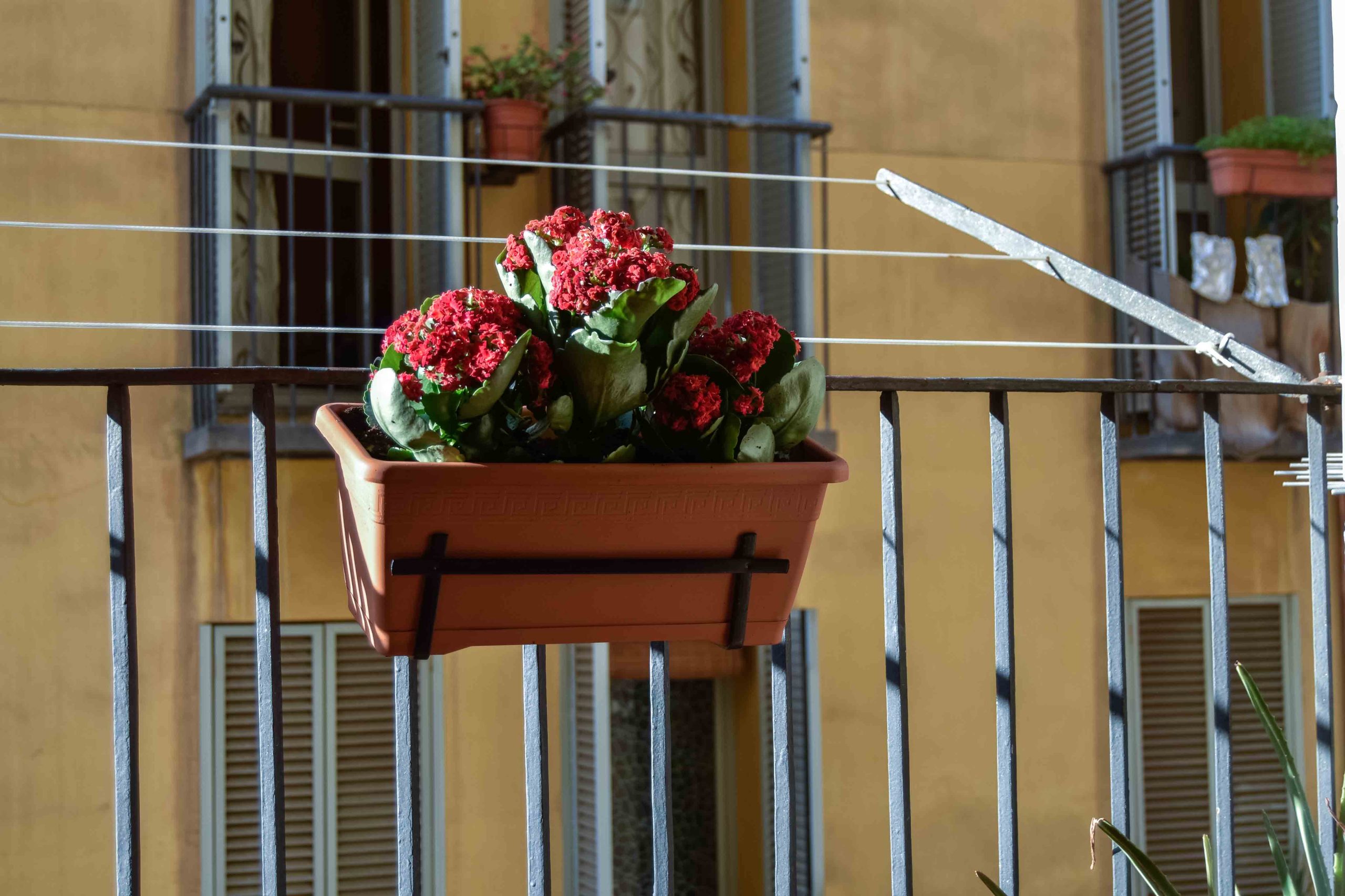 Fonollar - Charming apartment for rent in Barcelona - Balcony