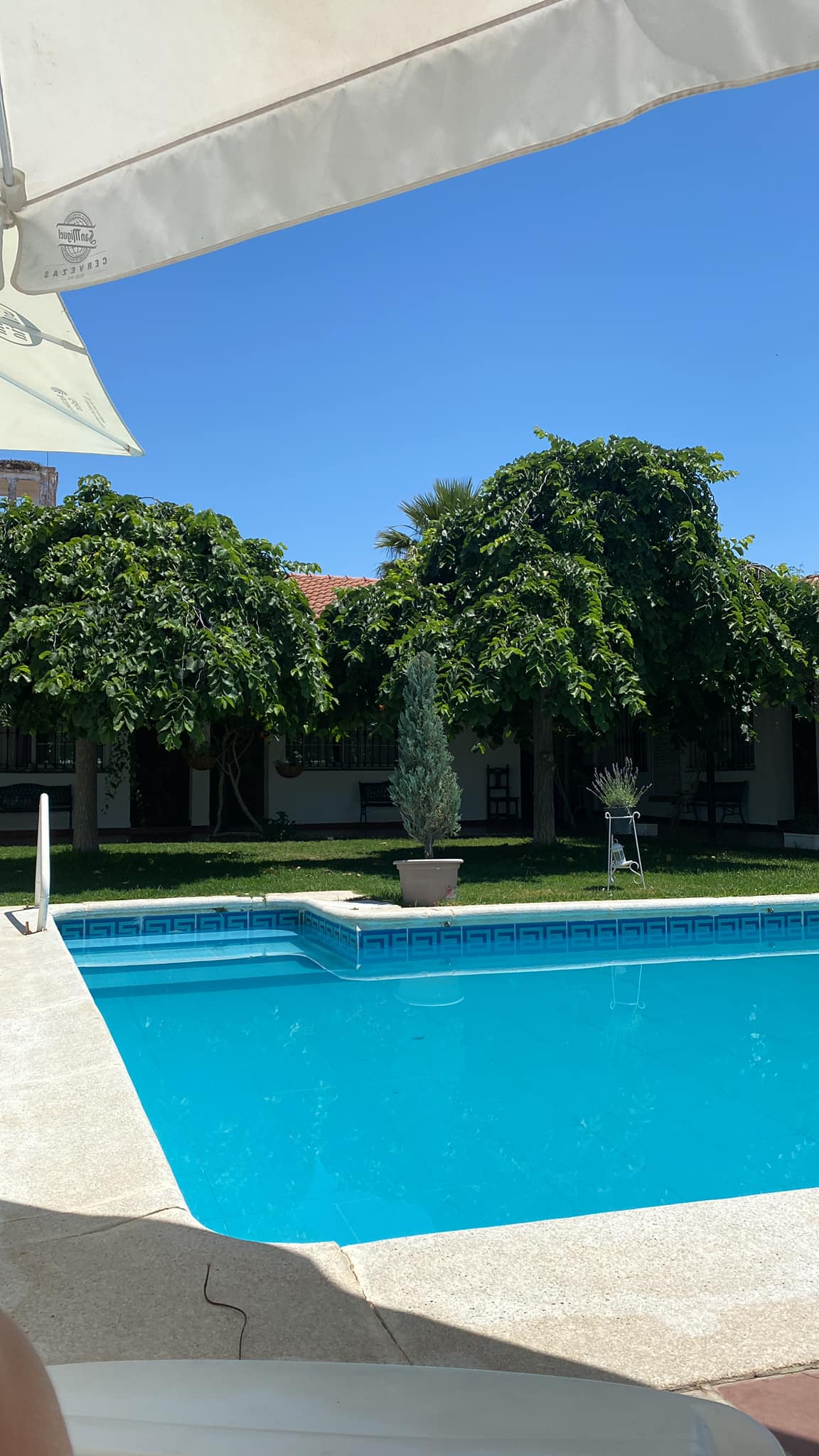 Torreaguila - Room for rent near Mérida - Pool