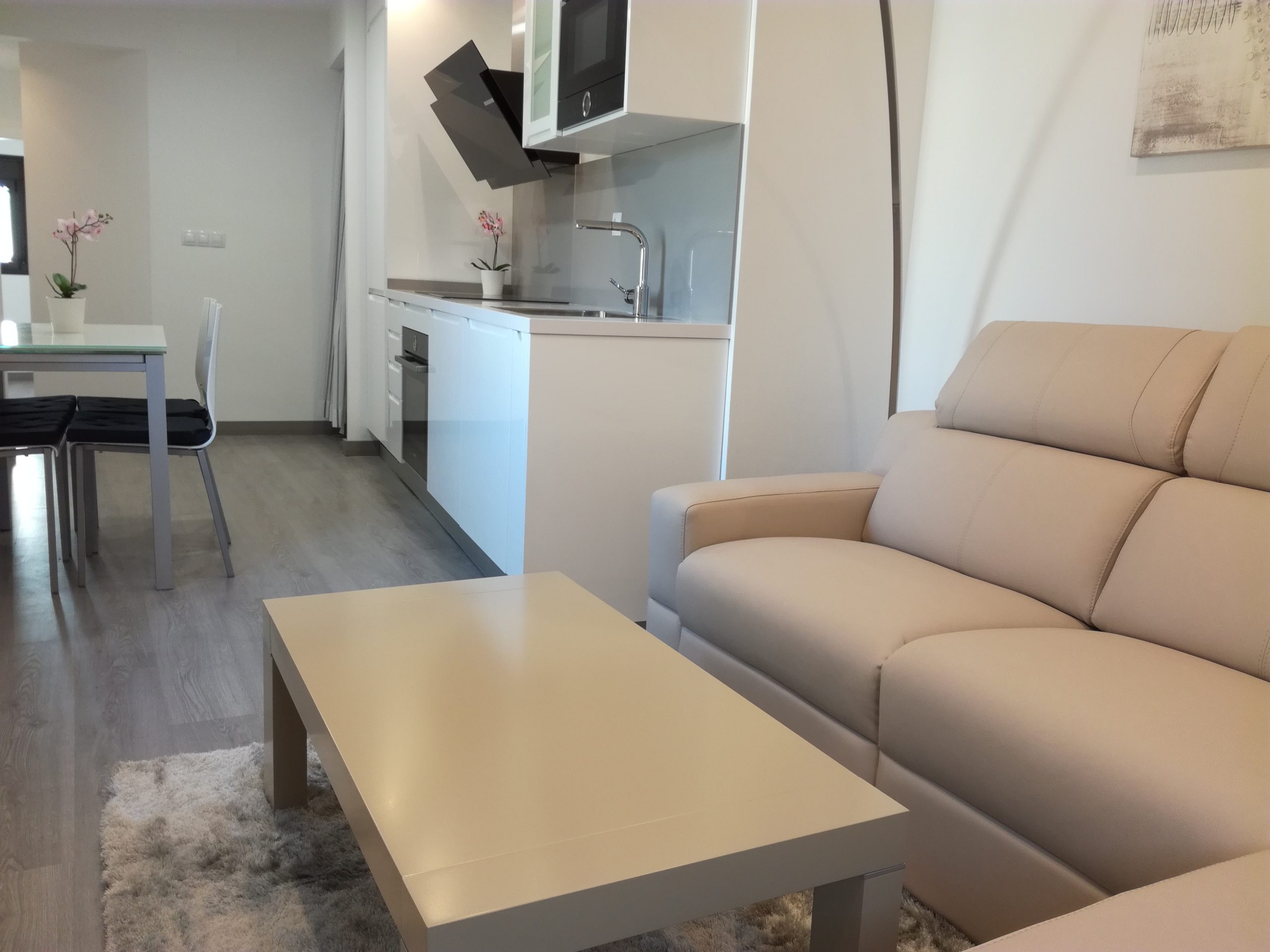 Casco - Furnished apartment for rent in Mallorca - Living room