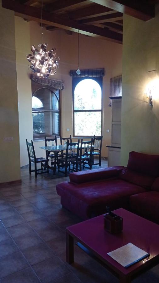 furnished house for rent in Villaturiel - Living room