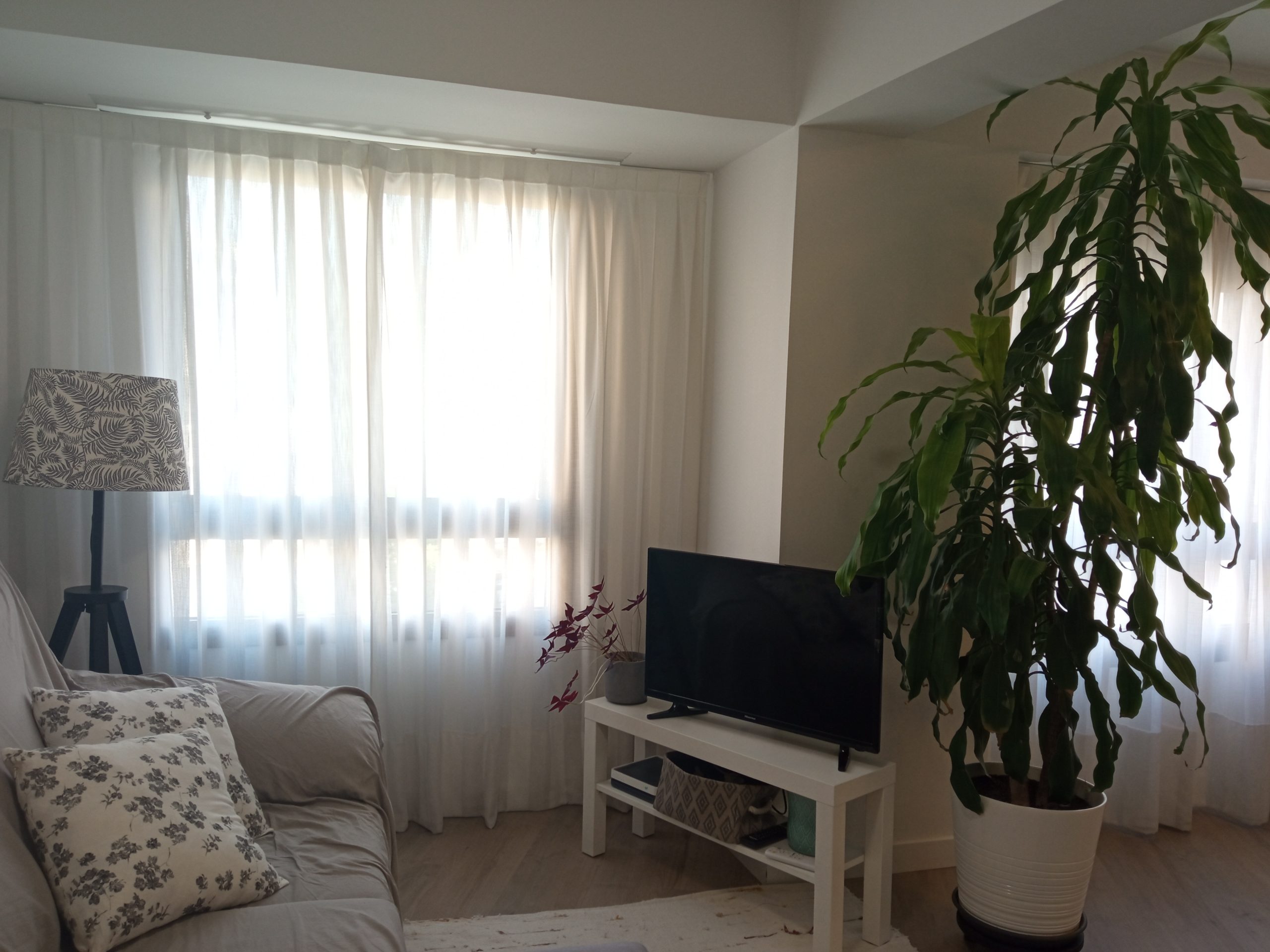 apartment for rent in valencia - livingroom