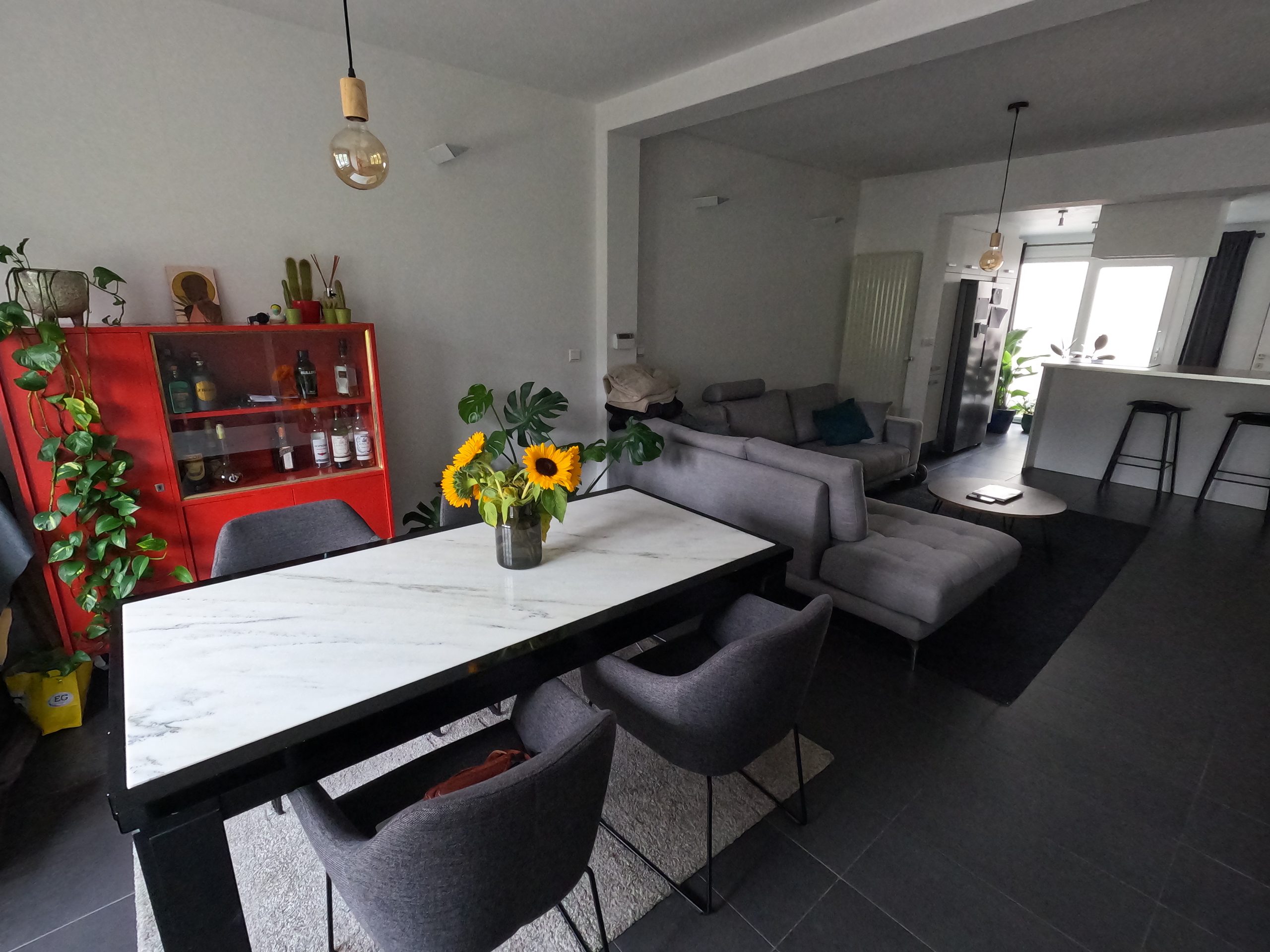 house for rent in ghent - livingroom - DCIM100GOPROGOPR2591.JPG