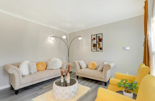 apartment for rent in Georgia - livingroom