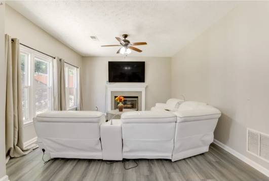 apartment for rent in Georgia - livingroom