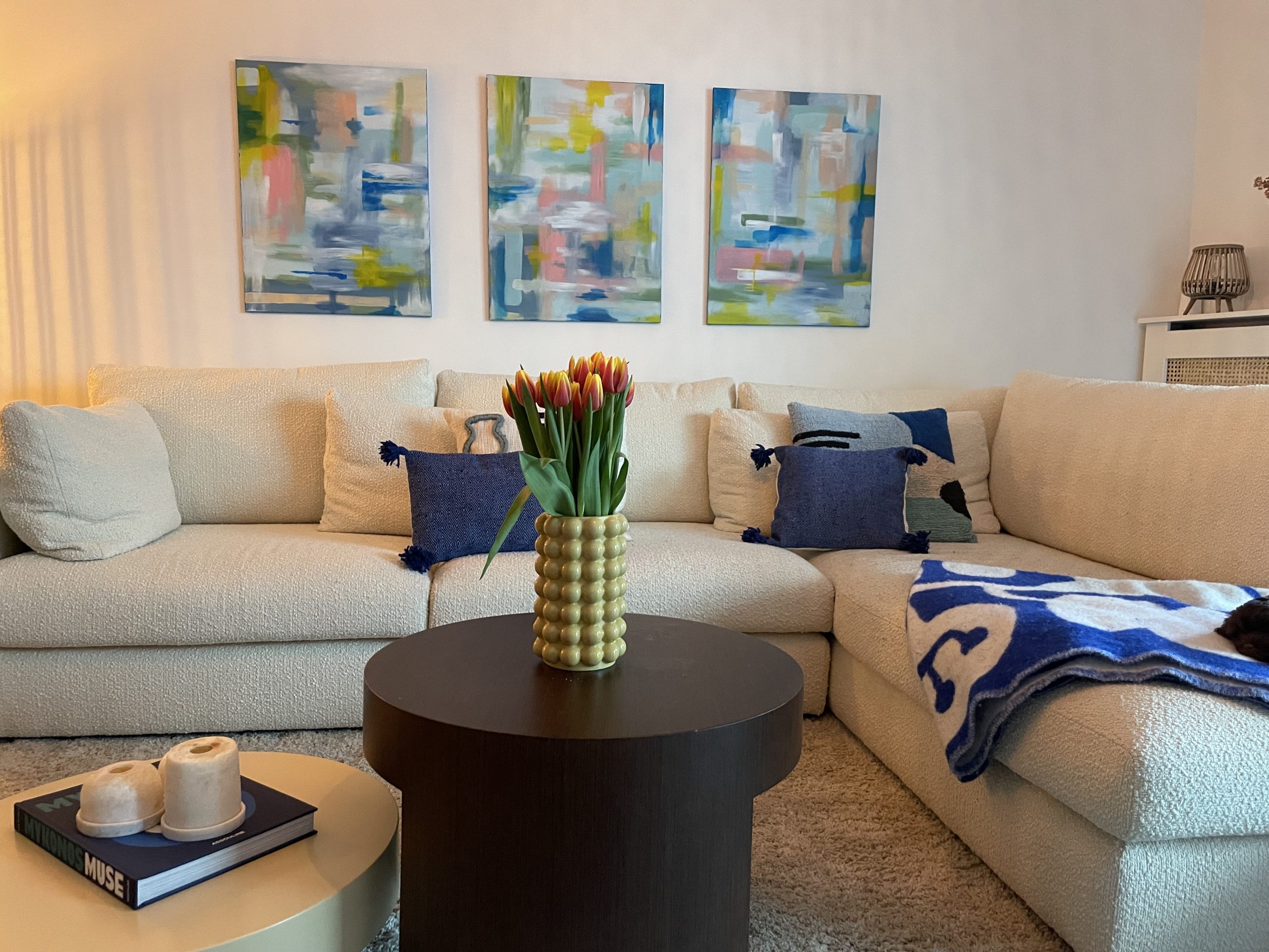 apartment for rent in antwerp - living room