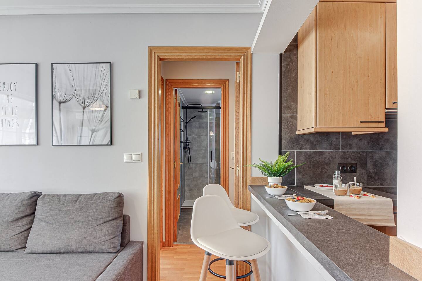 Living room - Amaro 2 - 2 Bedroom apartment for rent in A Coruña 5