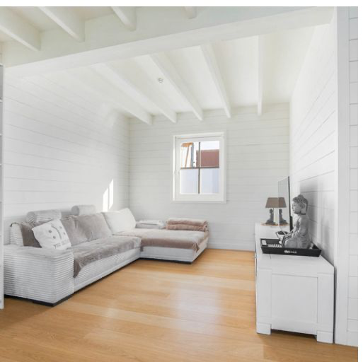 Reijs - House for rent in Holland - Living room