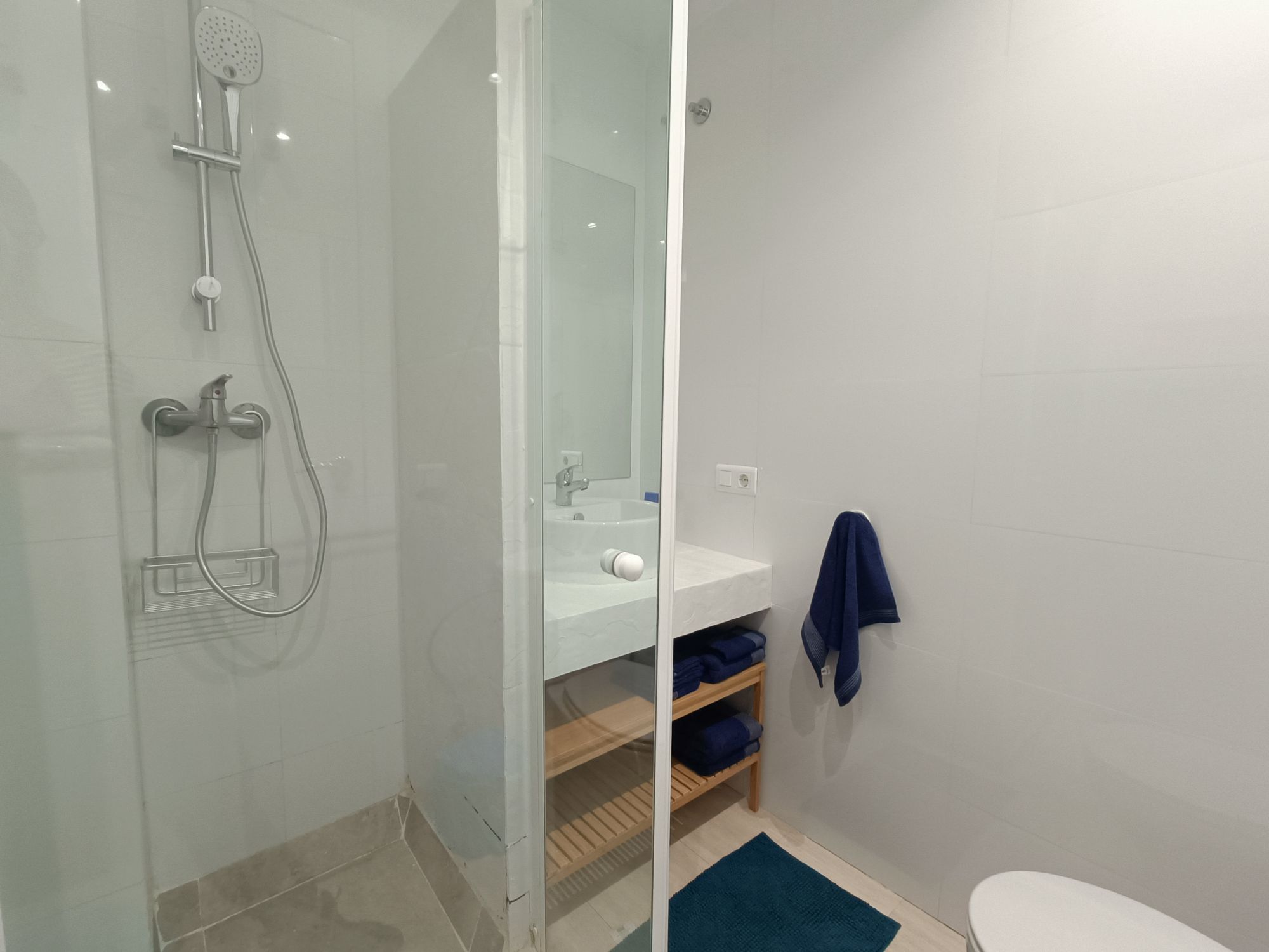 FLOR DE DUCHA Y BAÑO.jpg