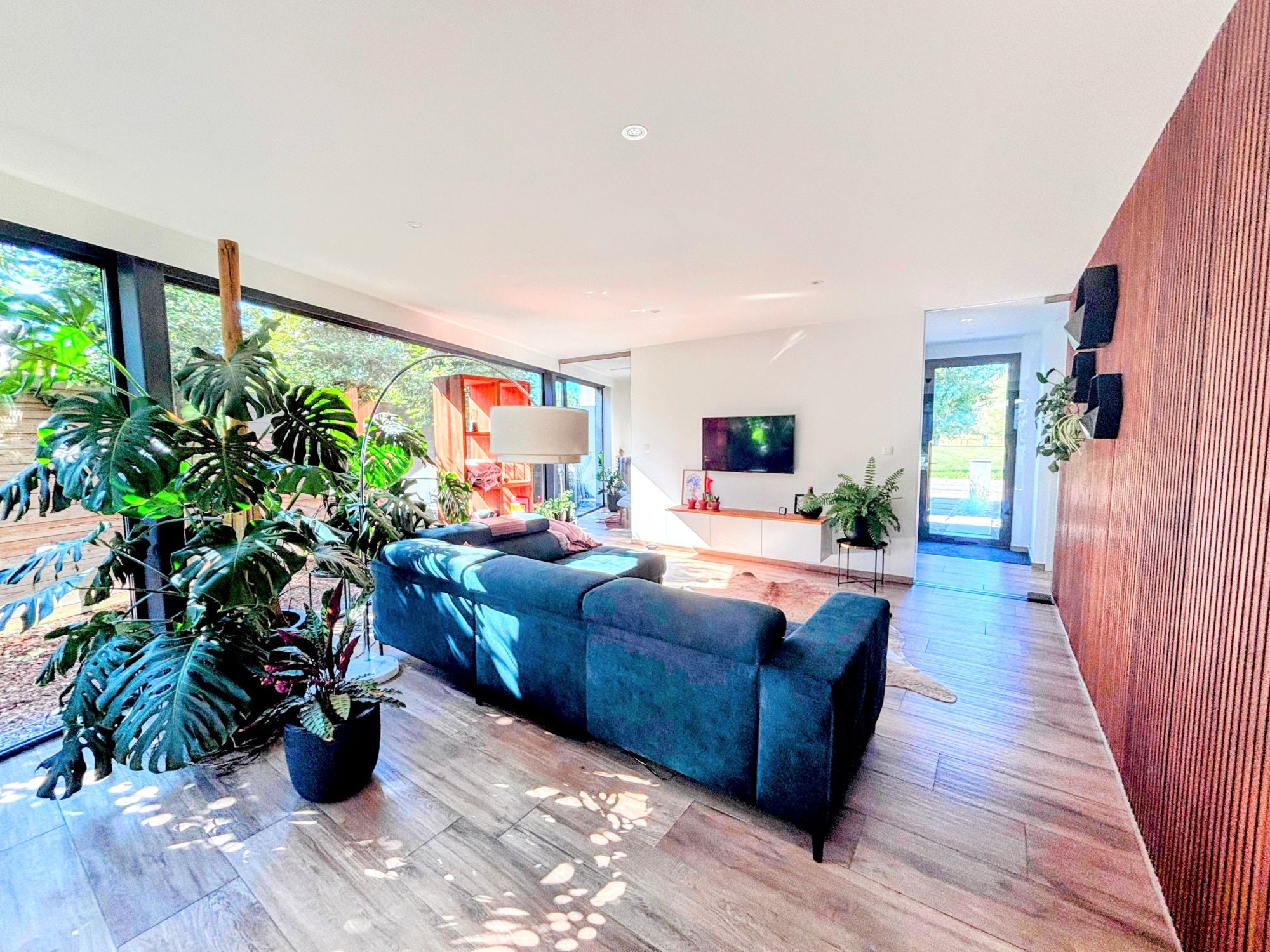 IMG_6358-EDIT Copy (1).jpg